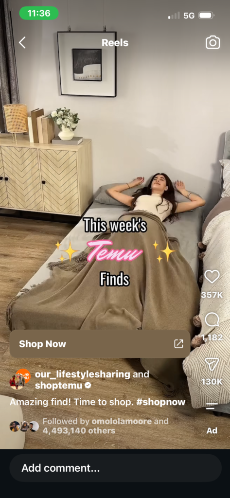 Temu Finds with Influencers and Content Creators